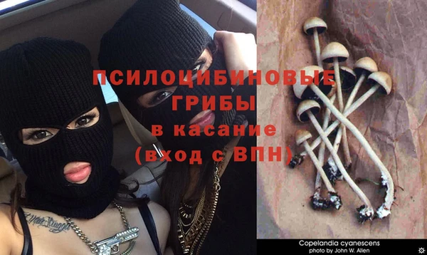 соль ск Дмитровск