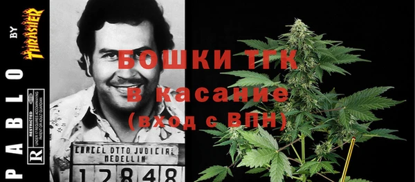 шишки Дмитров