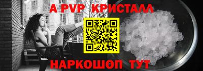 крисы Малгобек