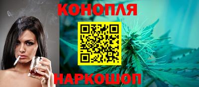 крисы Малгобек