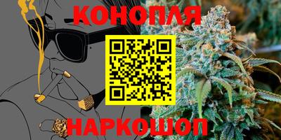 крисы Малгобек