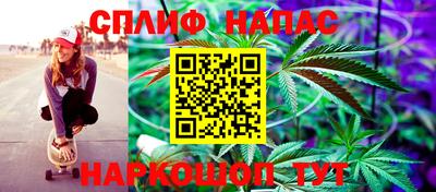 крисы Малгобек