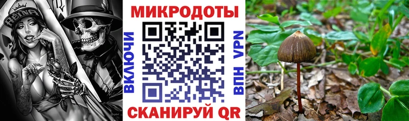 хочу наркоту  Кизилюрт  Галлюциногенные грибы прущие грибы 